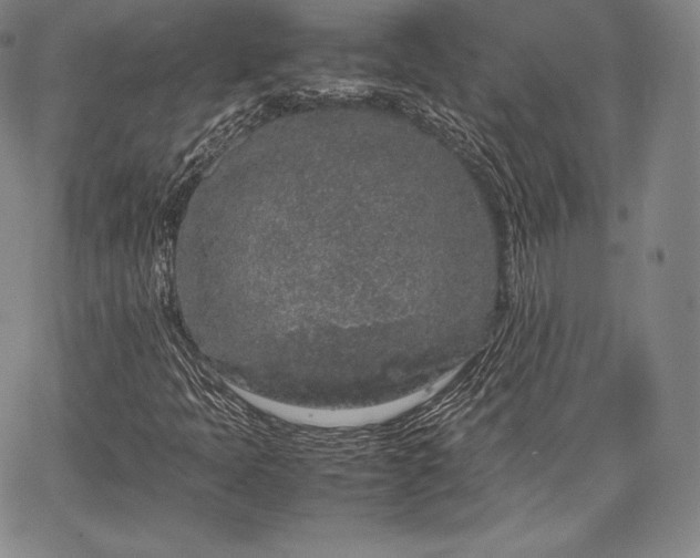 X0000067871397200604201206