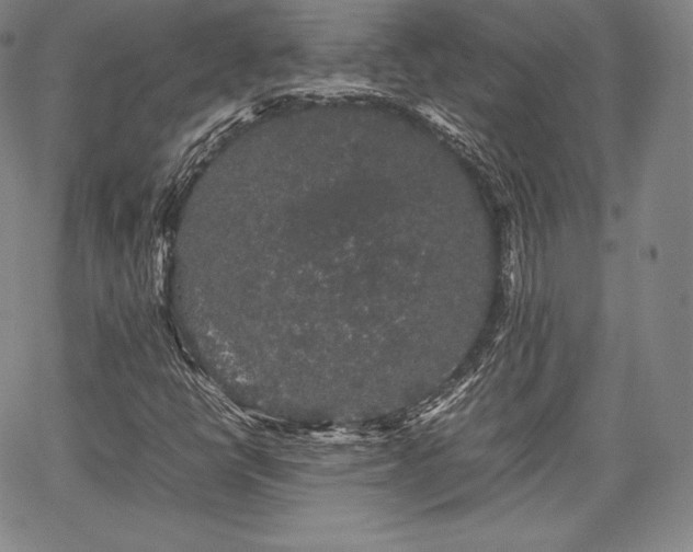 X0000067871398200604201206