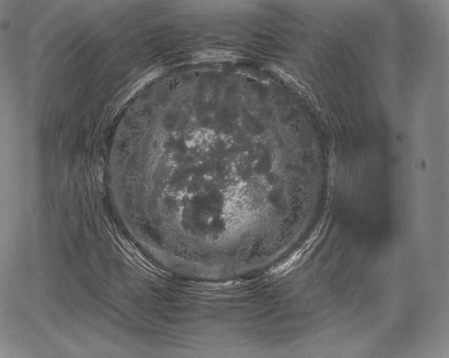 X0000067871401200604201206