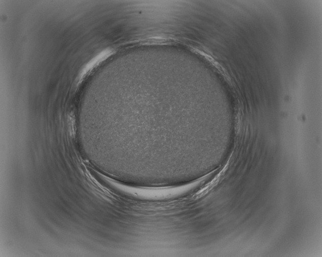 X0000067871402200604201206