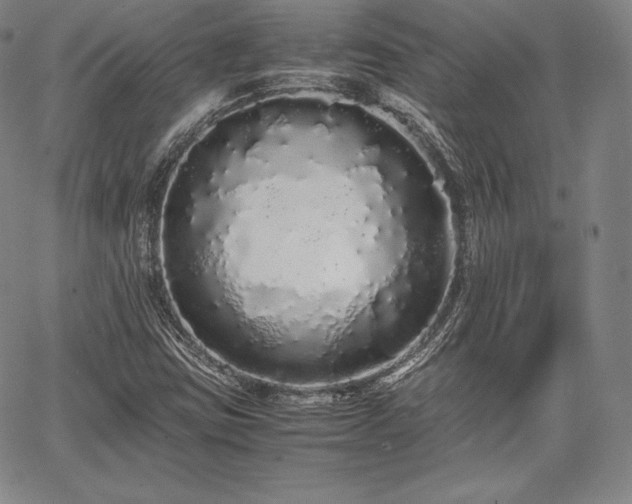 X0000067871403200604201206