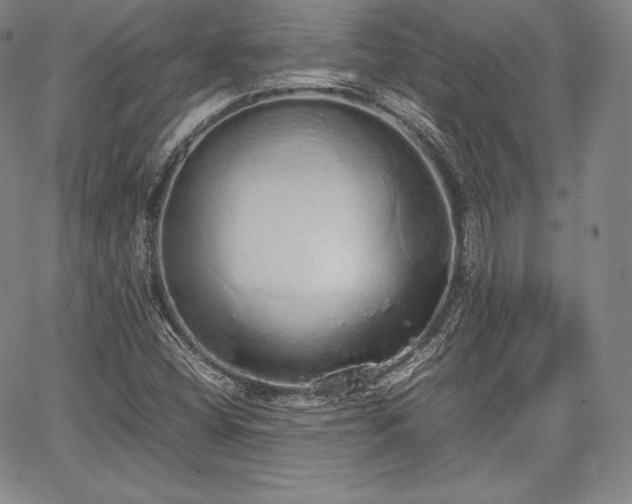 X0000067871404200604201206