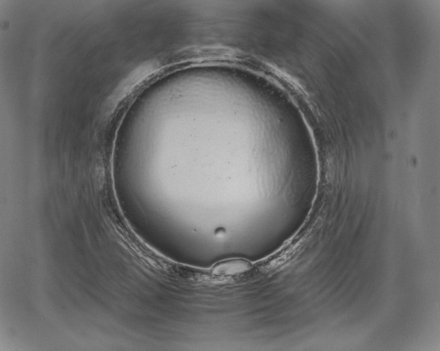 X0000067871407200604201206