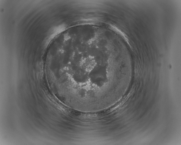 X0000067871411200604201206