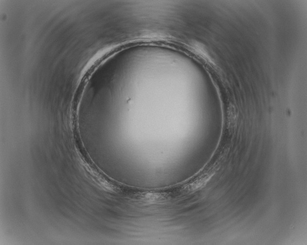 X0000067871412200604201206