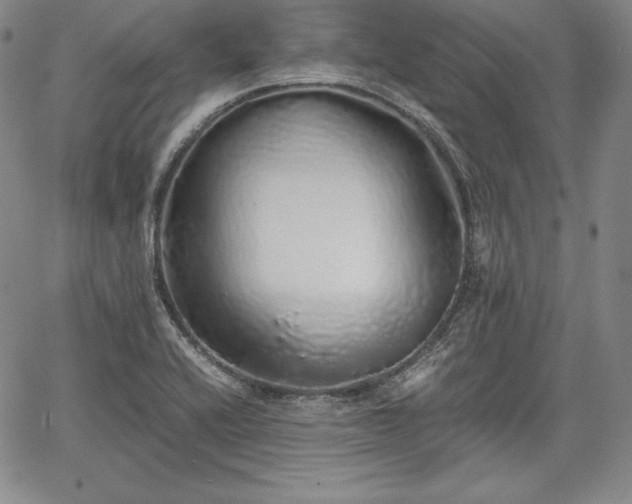 X0000067871416200604201206