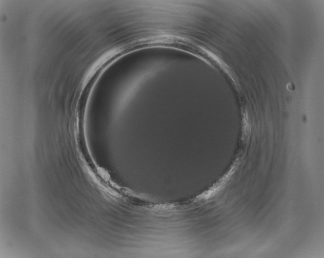 X0000067871418200604201206