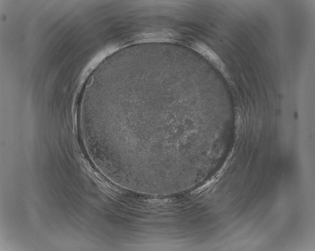 X0000067871419200604201206