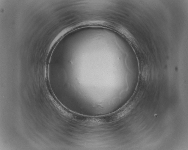 X0000067871420200604201206