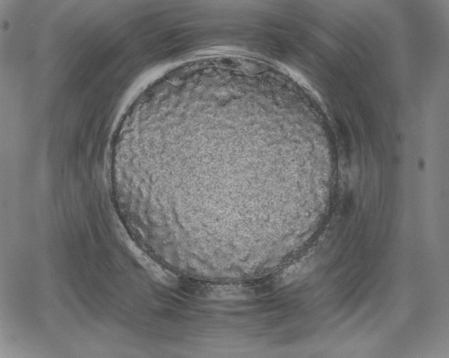 X0000067871421200604201206