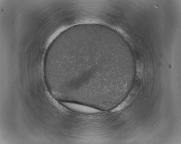 X0000067871422200604201206