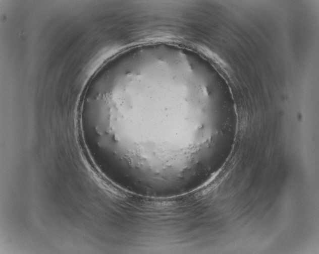 X0000067871423200604201206