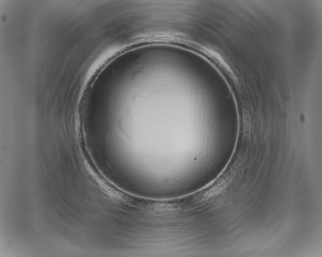 X0000067871424200604201206