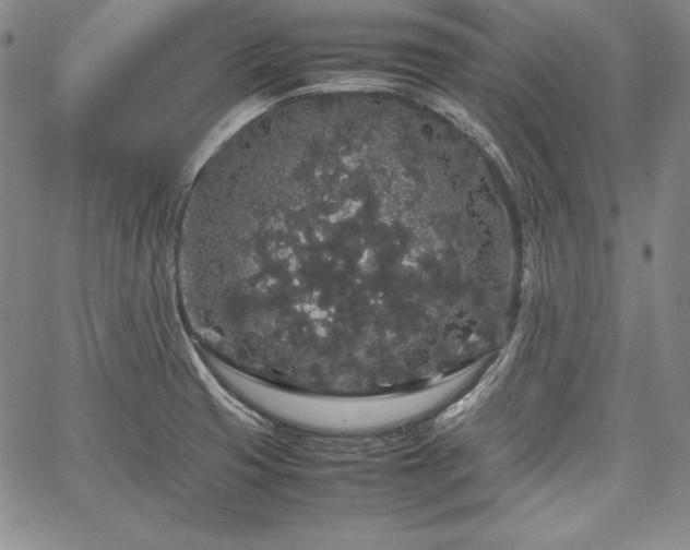 X0000067871425200604201206