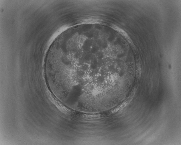 X0000067871427200604201206