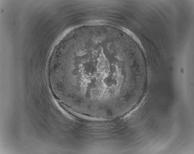 X0000067871429200604201206