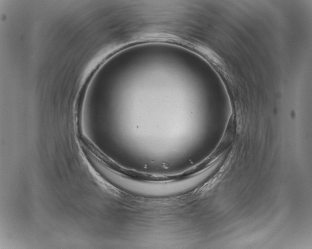 X0000067871430200604201206