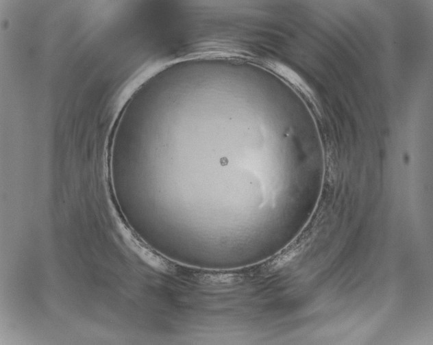 X0000067871431200604201206