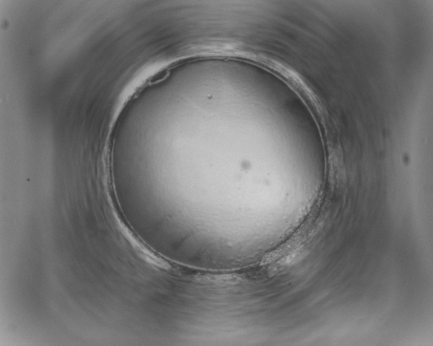 X0000067871432200604201206