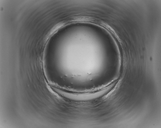 X0000067871433200604201206