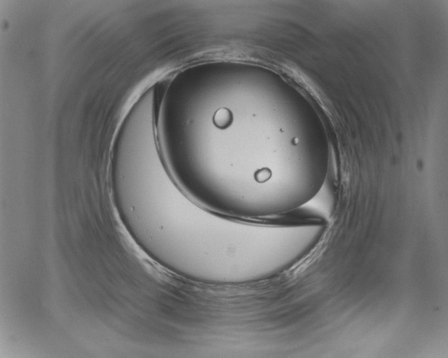 X0000067871434200604201206