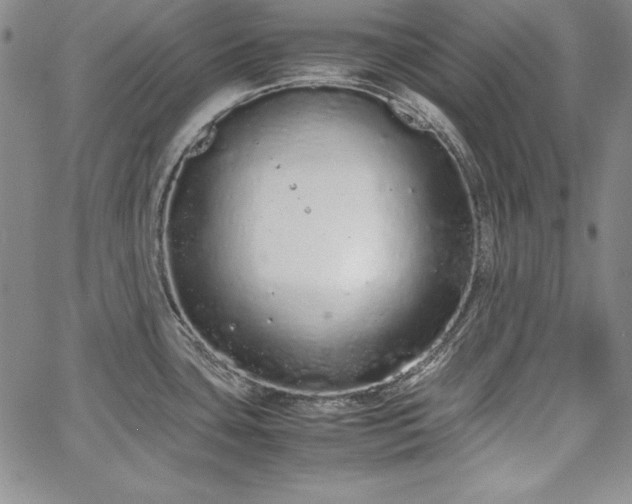 X0000067871435200604201206