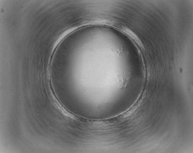 X0000067871436200604201206