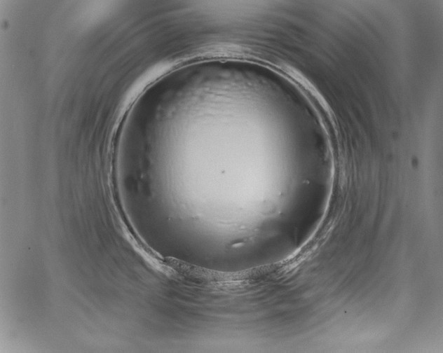 X0000067871437200604201206