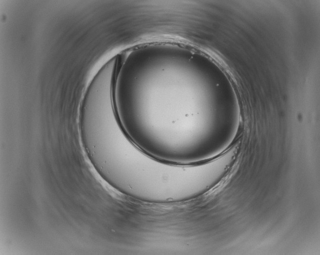 X0000067871438200604201206