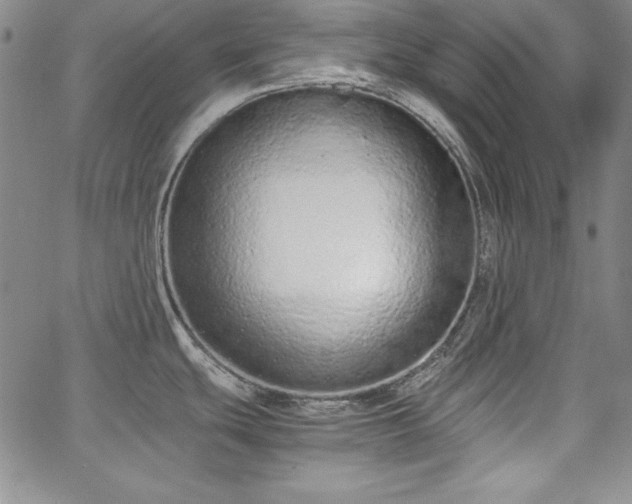 X0000067871439200604201207