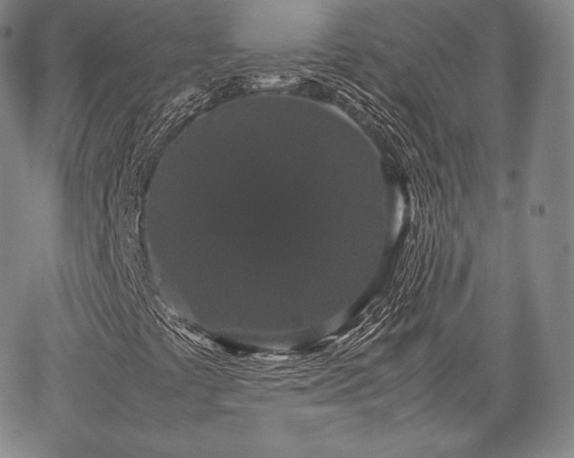 X0000067871441200604201206