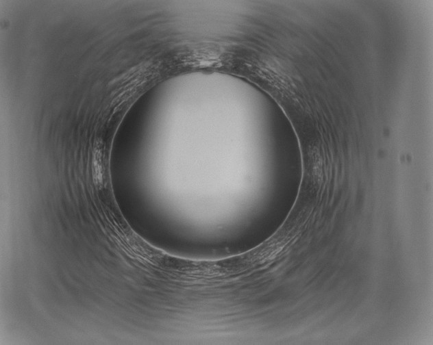 X0000067871442200604201206