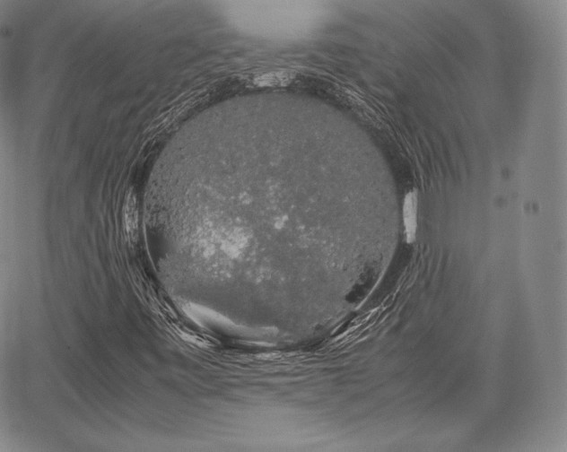 X0000067871443200604201206