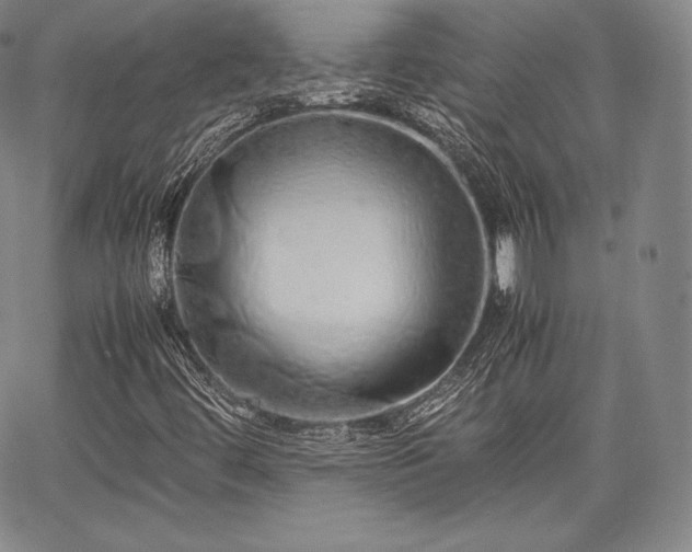 X0000067871444200604201206