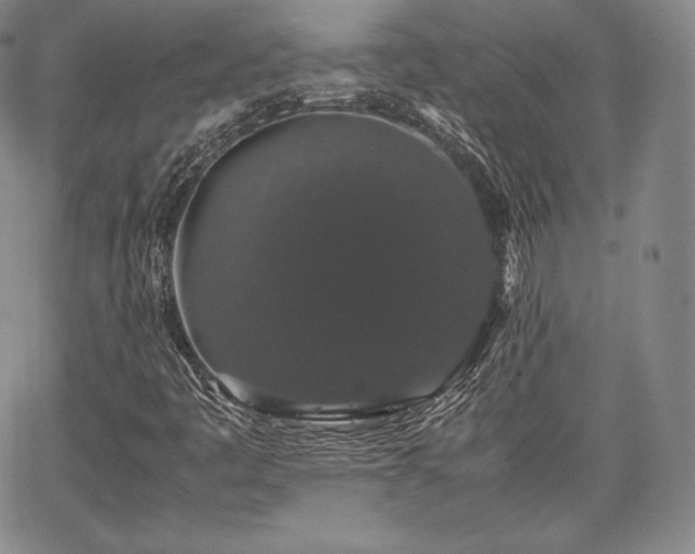 X0000067871445200604201206