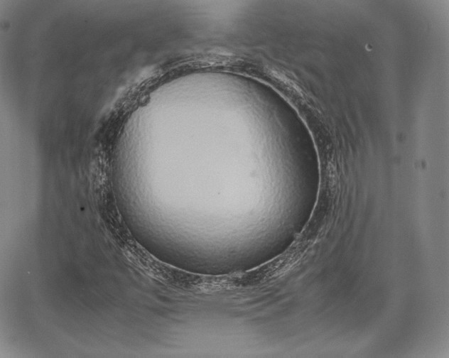 X0000067871447200604201206