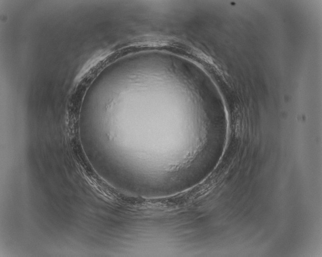 X0000067871448200604201206