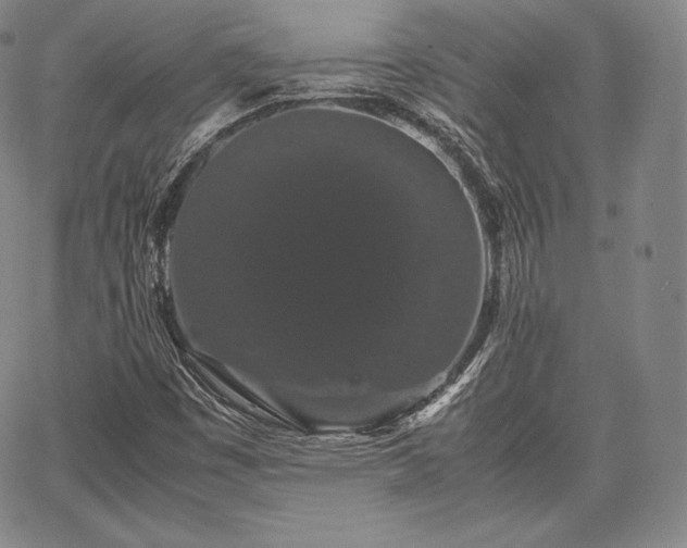 X0000067871449200604201206