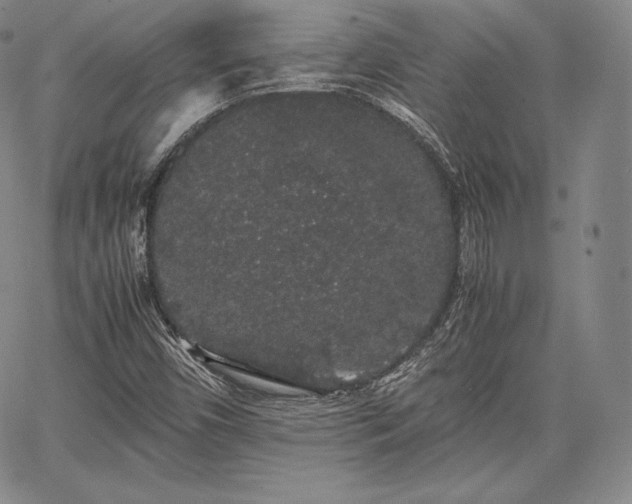 X0000067871450200604201206