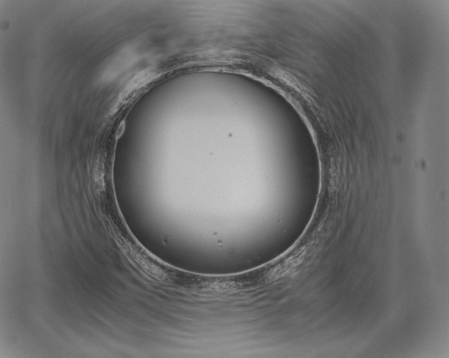 X0000067871451200604201206