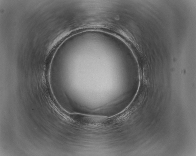 X0000067871452200604201206