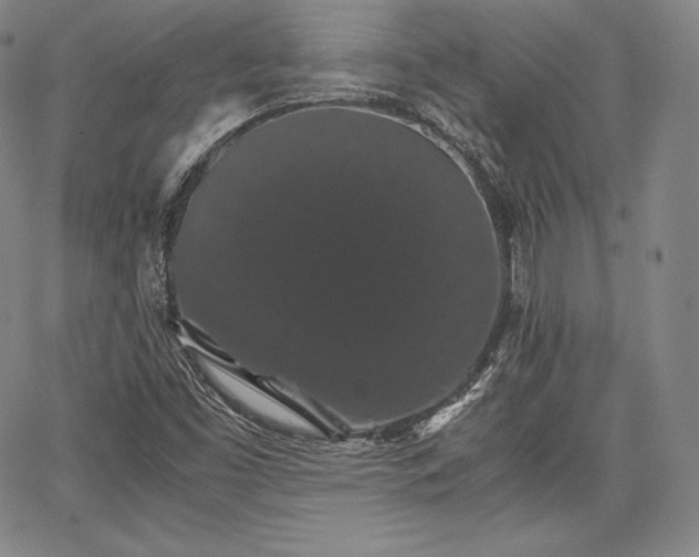 X0000067871453200604201206