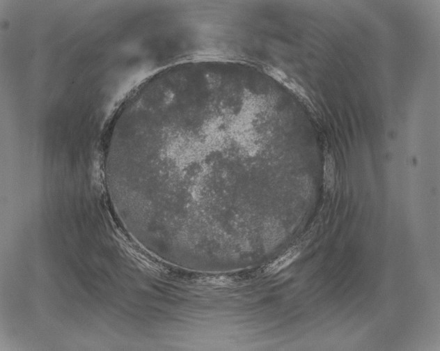 X0000067871454200604201206