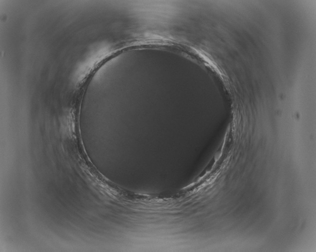 X0000067871455200604201206