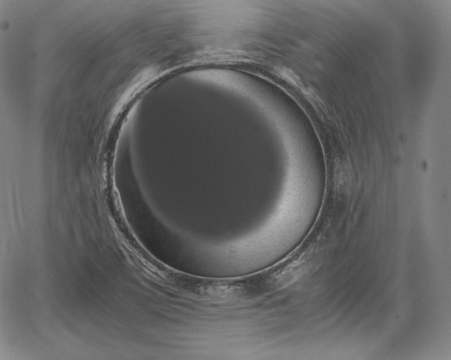 X0000067871459200604201205