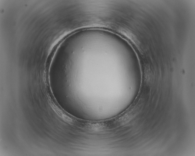 X0000067871460200604201205