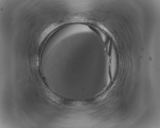 X0000067871461200604201205