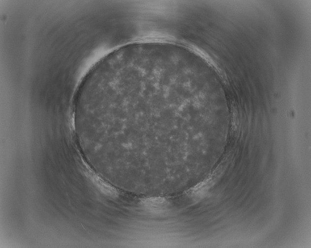 X0000067871462200604201205