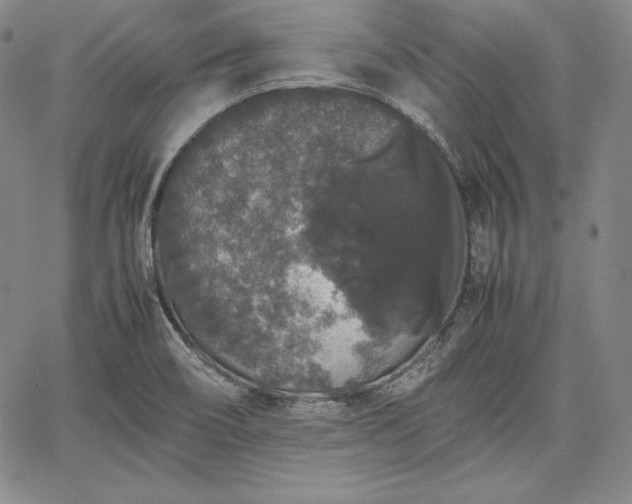 X0000067871466200604201205