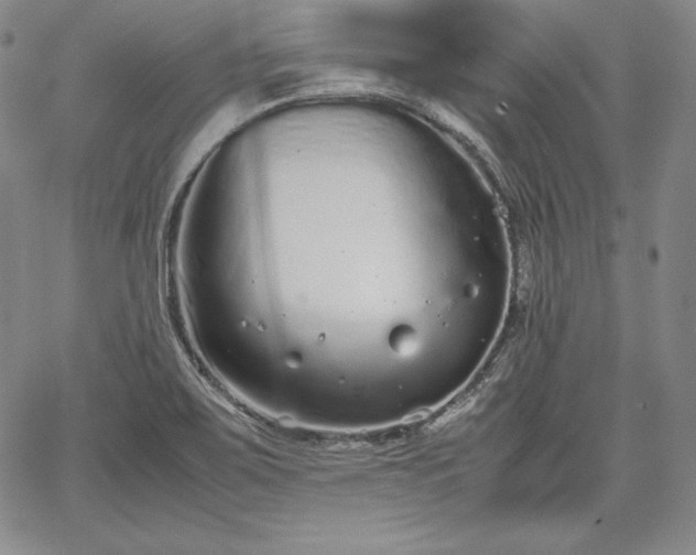 X0000067871467200604201205